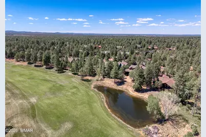 3990 Sugar Pine Loop, Show Low, AZ 85901 - Photo 37