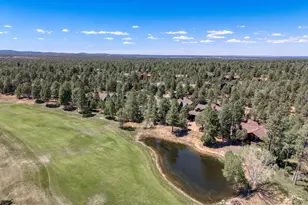3990 Sugar Pine Loop, Show Low, AZ 85901 - Photo 37