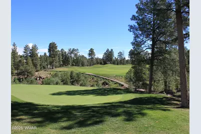 3990 Sugar Pine Loop, Show Low, AZ 85901 - Photo 59