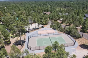 3990 Sugar Pine Loop, Show Low, AZ 85901 - Photo 49