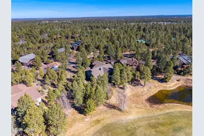 3990 Sugar Pine Loop, Show Low, AZ 85901 - Photo 37
