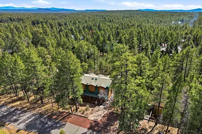 4893 Big Pine Drive, Lakeside, AZ 85929 - Photo 39