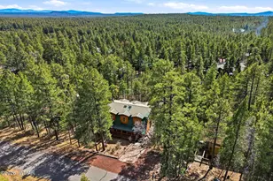 4893 Big Pine Dr, Lakeside, AZ 85929 - Photo 39