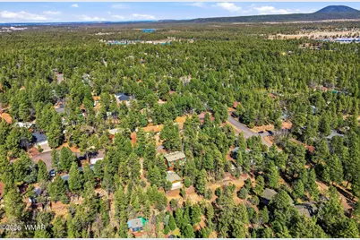 4893 Big Pine Drive, Lakeside, AZ 85929 - Photo 43