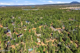 4893 Big Pine Dr, Lakeside, AZ 85929 - Photo 43