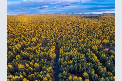 8667 Alchesay Drive, Pinetop, AZ 85935 - Photo 37