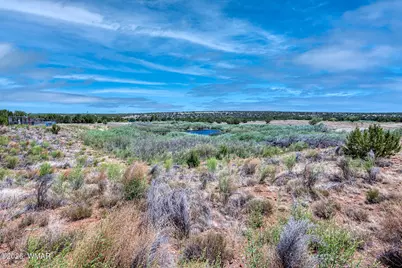 Lot D Tbd Huggins, Show Low, AZ 85901 - Photo 9