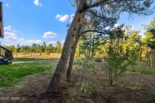 1514 Shade Tree Dr, Heber, AZ 85928 - Photo 39