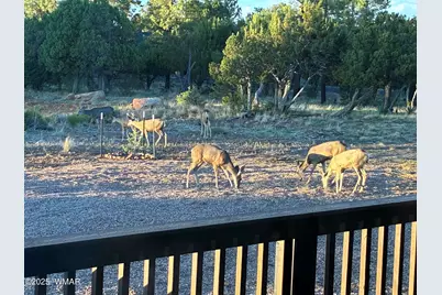 1514 Shade Tree Drive, Heber, AZ 85928 - Photo 49