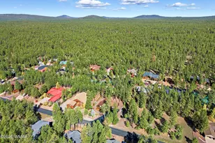 8496 Pinewood Dr, Pinetop, AZ 85935 - Photo 51