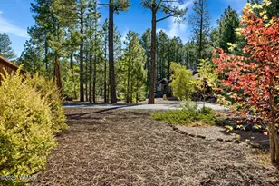 8496 Pinewood Dr, Pinetop, AZ 85935 - Photo 35