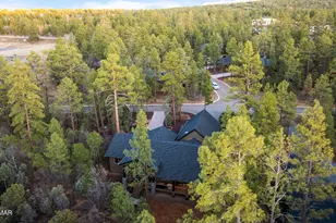 1730 S Torreon Lakes Dr, Show Low, AZ 85901 - Photo 49