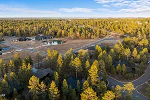 1730 S Torreon Lakes Dr, Show Low, AZ 85901 - Photo 51