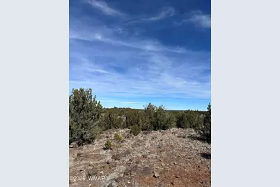 1780 Shad Place, Show Low, AZ 85901 - Photo 3