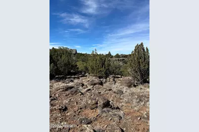 1780 Shad Place, Show Low, AZ 85901 - Photo 9