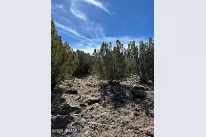 1780 Shad Place, Show Low, AZ 85901 - Photo 7