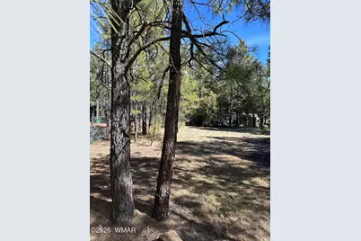 701 S 30th Avenue, Show Low, AZ 85901 - Photo 3