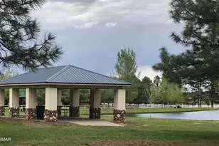 2654 Palomino Trail, Overgaard, AZ 85933 - Photo 49