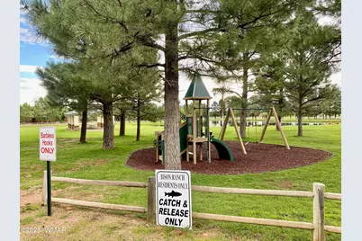 2654 Palomino Trail, Overgaard, AZ 85933 - Photo 51