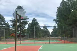 2654 Palomino Trail, Overgaard, AZ 85933 - Photo 49