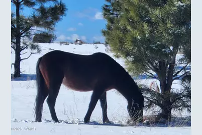 2654 Palomino Trail, Overgaard, AZ 85933 - Photo 43