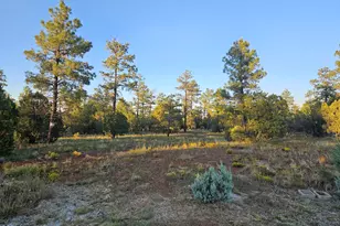 4843 Bison Trail, Lakeside, AZ 85929 - Photo 5