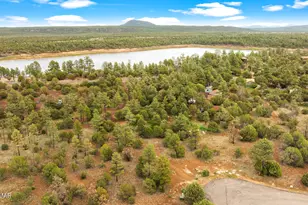4843 Bison Trail, Lakeside, AZ 85929 - Photo 5
