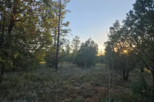 4843 Bison Trail, Lakeside, AZ 85929 - Photo 7