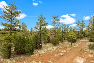 4843 Bison Trail, Lakeside, AZ 85929 - Photo 13