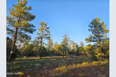 4843 Bison Trail, Lakeside, AZ 85929 - Photo 3