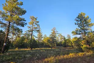 4843 Bison Trail, Lakeside, AZ 85929 - Photo 3