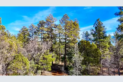 6101 E Starlight Ridge Road, Lakeside, AZ 85929 - Photo 11