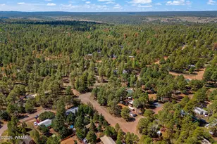 2867 Pine Rim Rd, Overgaard, AZ 85933 - Photo 31