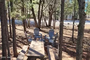 1245 E Cutthroat Ln, Pinetop, AZ 85935 - Photo 23