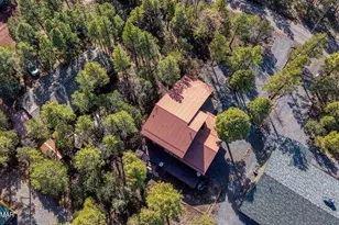 1541 N Blue Grass Ranch Dr, Lakeside, AZ 85929 - Photo 13