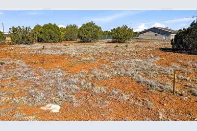 8396 Bear Meadow Drive, Show Low, AZ 85901 - Photo 3