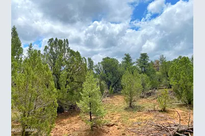 Tbd Bear Heights, Heber, AZ 85928 - Photo 3