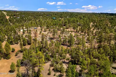 2975 Canary Lane, Heber, AZ 85928 - Photo 7