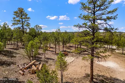 2975 Canary Lane, Heber, AZ 85928 - Photo 5