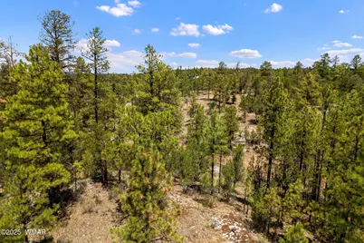2975 Canary Lane, Heber, AZ 85928 - Photo 1