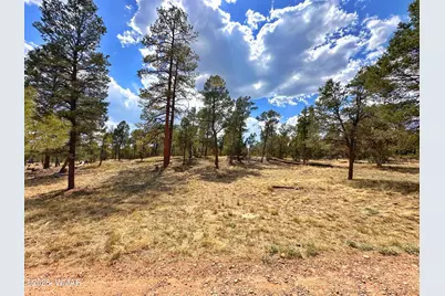 Par 007H Chevelon Rd, Heber, AZ 85928 - Photo 3