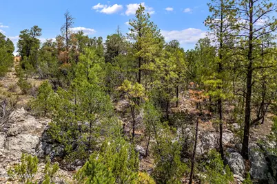 Par 007H Chevelon Rd, Heber, AZ 85928 - Photo 7