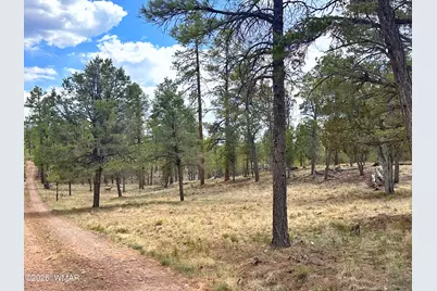 Par 007H Chevelon Rd, Heber, AZ 85928 - Photo 5