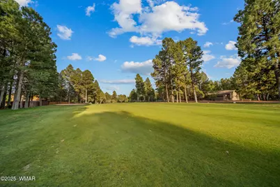 3231 W Old Linden Road, Show Low, AZ 85901 - Photo 3