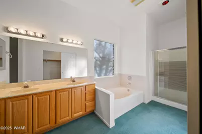 3231 W Old Linden Road, Show Low, AZ 85901 - Photo 41
