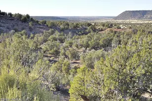3687 Damron Valley Rd, Snowflake, AZ 85937 - Photo 1