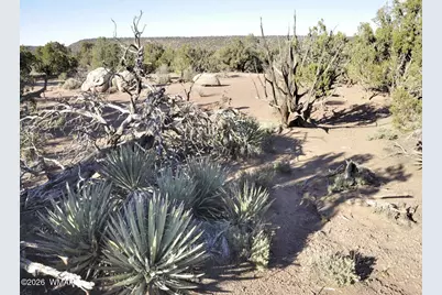 3687 Damron Valley Road, Snowflake, AZ 85937 - Photo 7