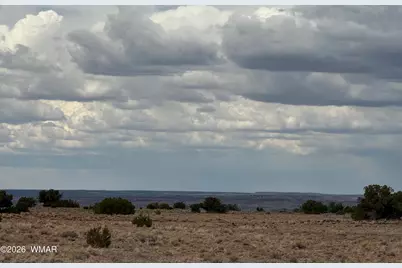 N6503 Elk Valley Ranch Lot 21, Saint Johns, AZ 85936 - Photo 3