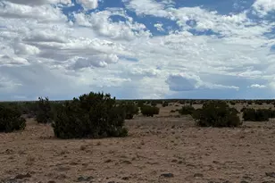 N6503 Elk Valley Ranch Lot 21, Saint Johns, AZ 85936 - Photo 1