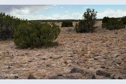 N6503 Elk Valley Ranch Lot 21, Saint Johns, AZ 85936 - Photo 5